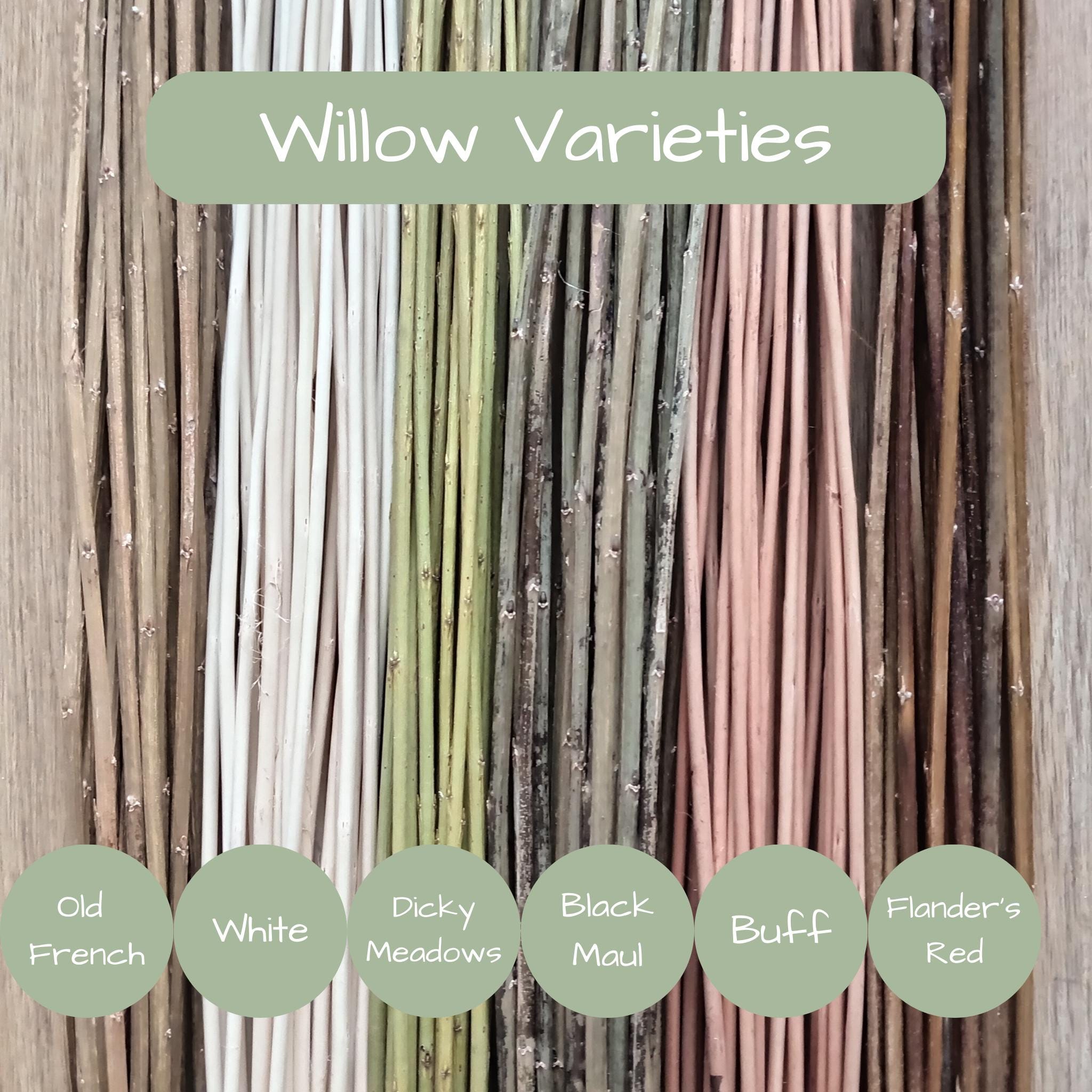 Willow Rods Splints Straight Willow Rods for Weaving and Crafts. Natural Brown, Buff or ...