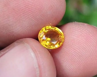 Ceylon Yellow  Sapphire  # 1.30 Carat # Golden Yellow Color | Beautiful Luster | Straight from Our Village to Your Hand  - Sri Lanka