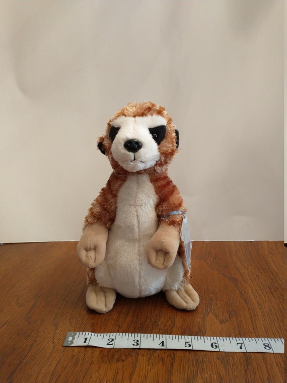 webkinz meerkat