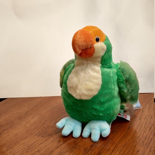 parakeet webkinz