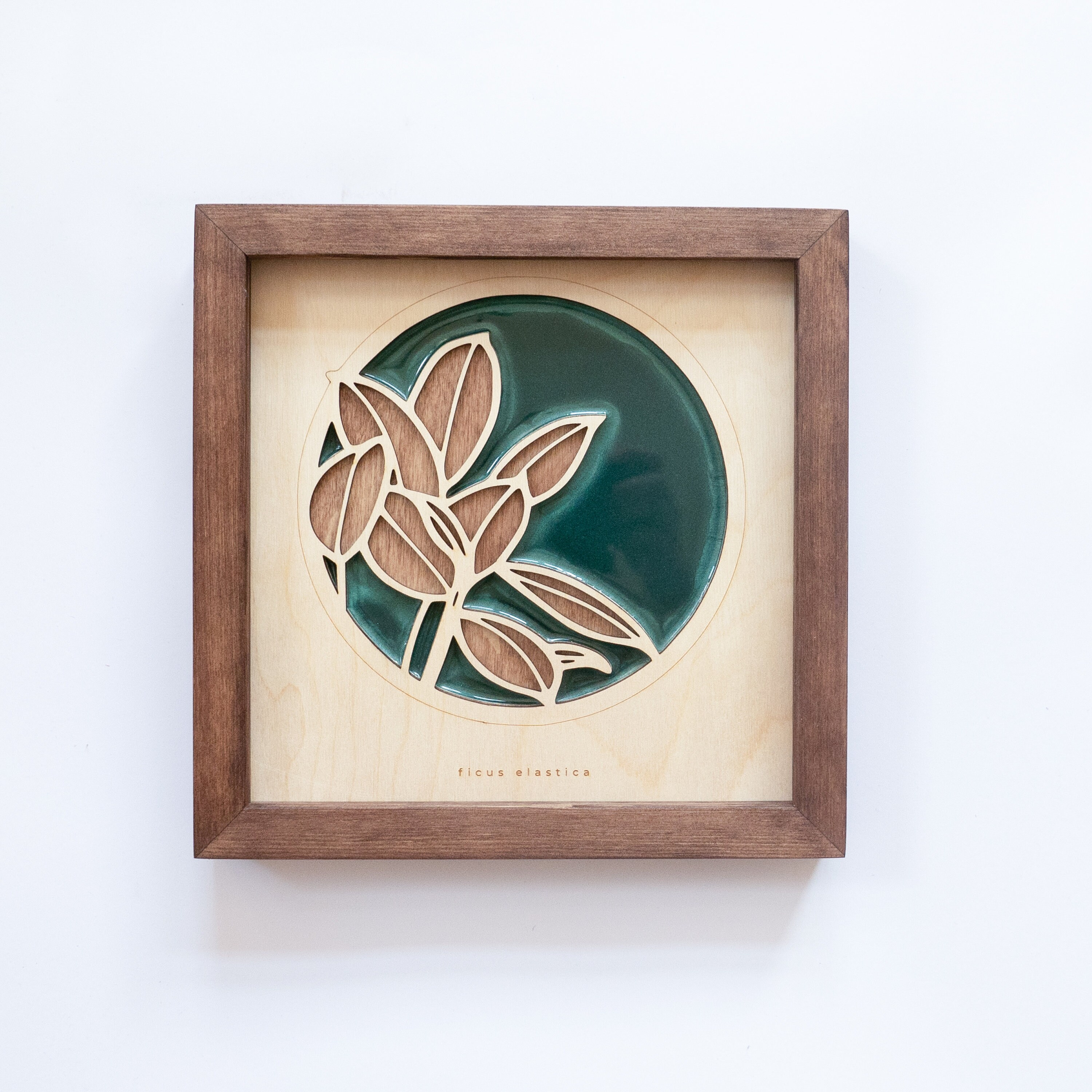 earth ficus capricorn