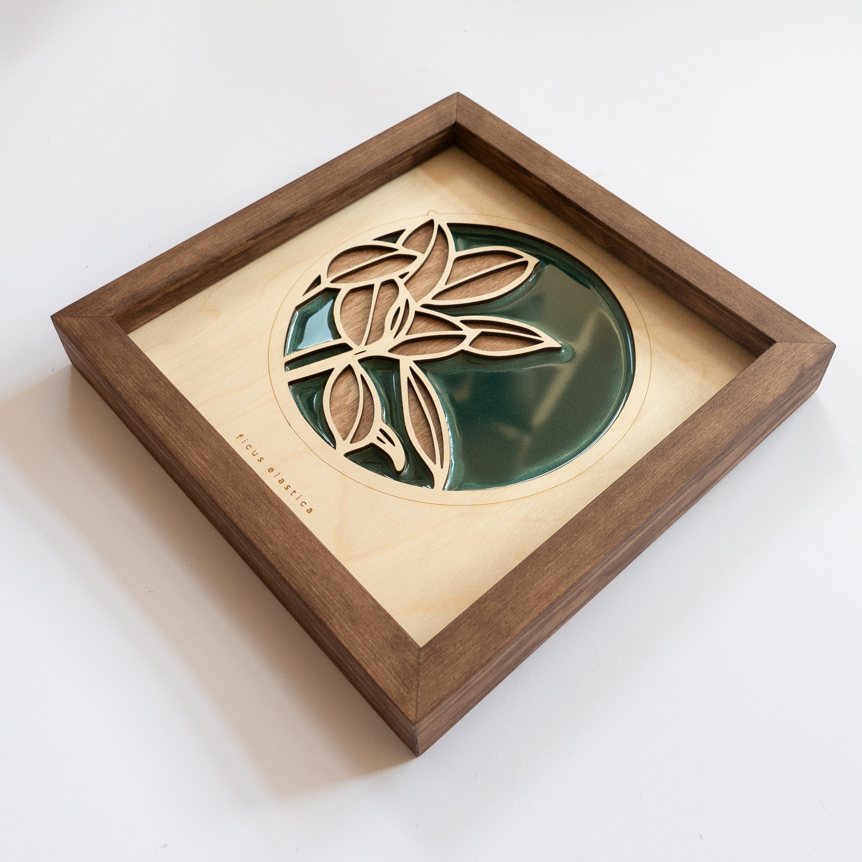 earth ficus capricorn