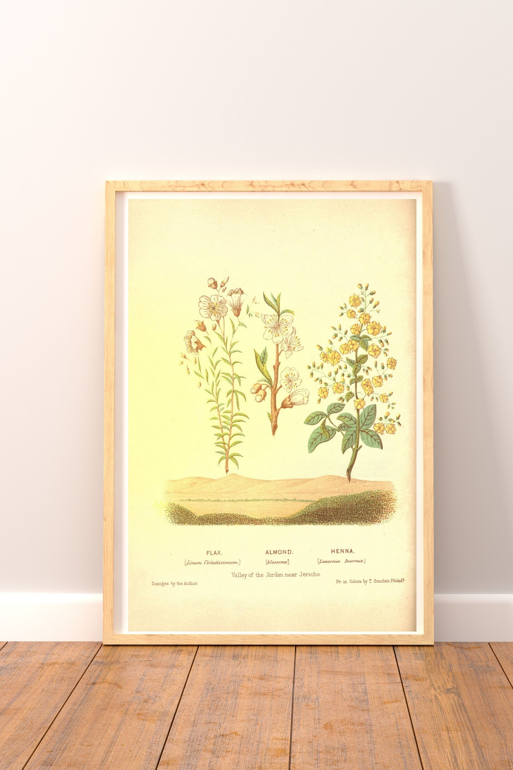 Vintage Botanical Print Set Antique Wall Art Customizable | Etsy