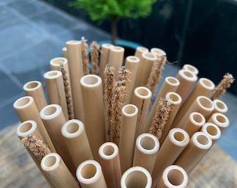 50+ Bamboo Straws | Economical - Free Ship | Reusable Bamboo Drinking Straws | Coconut Fiber Brush | Eco Friendly | Zero Waste