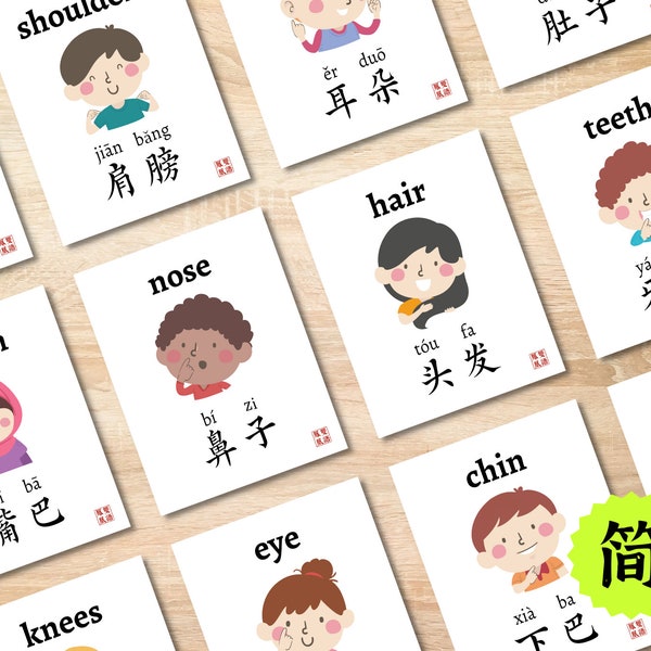 Body Parts Flashcards Chinese Face Parts Cards Kids Science Bilingual Simplified Pinyin Mandarin Homeschool Printable Preschool 五官身体双语中文简体拼音
