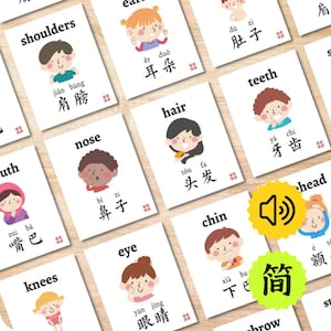 Body Parts Chinese Flashcards + Audio, Bilingual Mandarin Face Parts Flash Cards, Kids Science Printable Homeschool Preschool 五官身体双语中文简体拼音闪卡