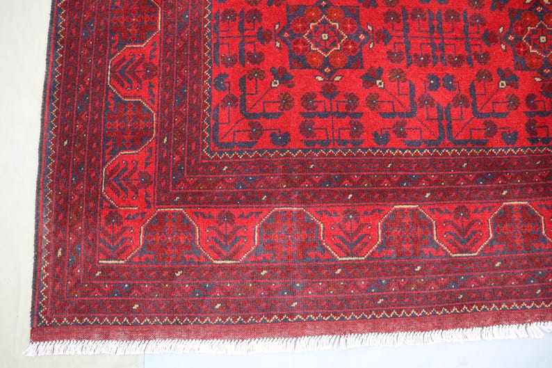 Op de afbeelding: Een rood en blauw patroonteppich met een franje rand. Het tapijt heeft een traditioneel ontwerp met ingewikkelde details.