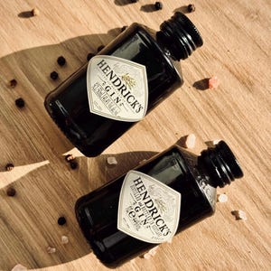 Novelty Mini Hendrick&#39;s Gin Salt and Pepper Shakers Gift Set - Limited Blue Bottle, Upcycle Repurpose Bottles, Black Bottle Shaker