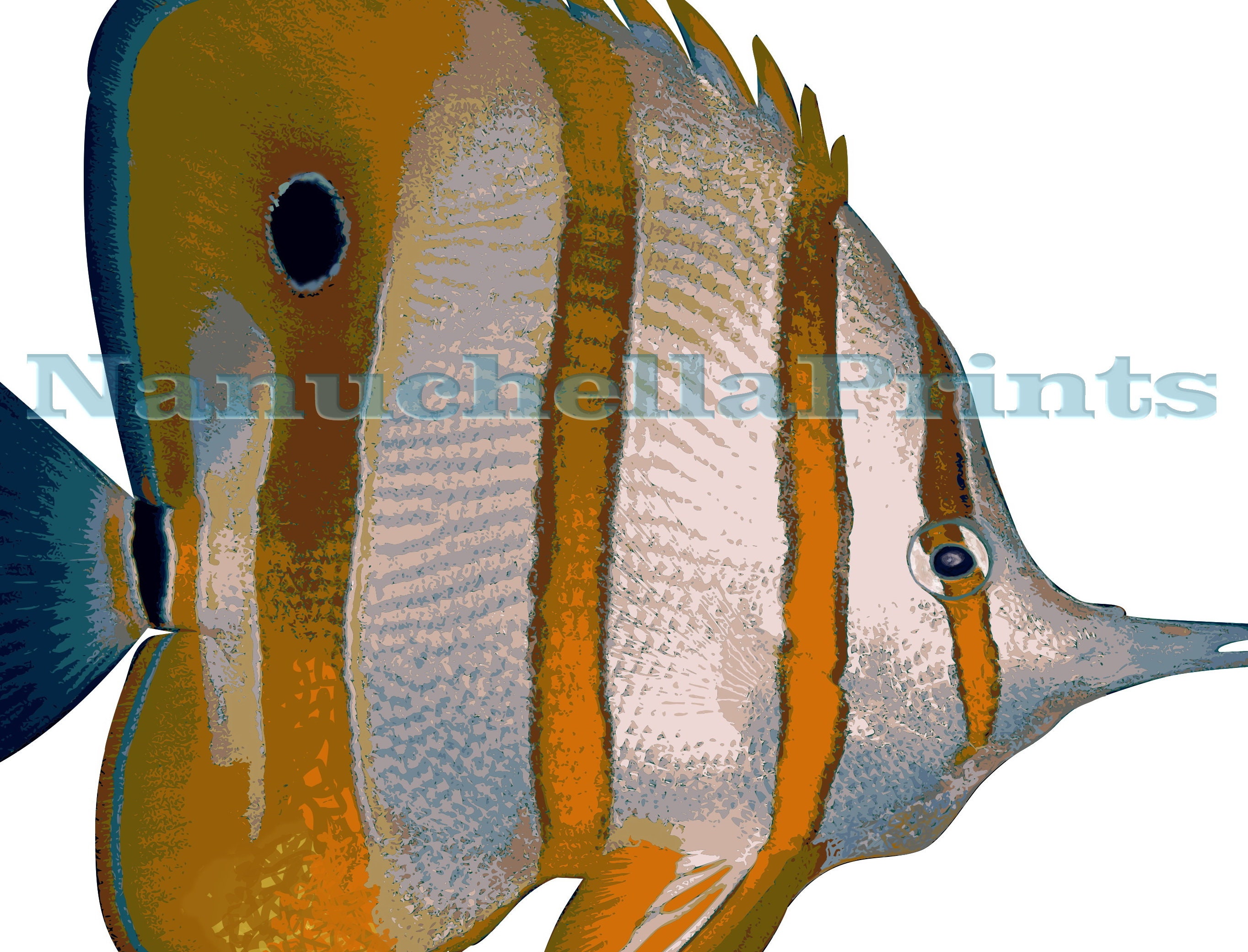 Poster Set of 6 Ocean Fishes Fish Wall Art Poster of Fish | Etsy