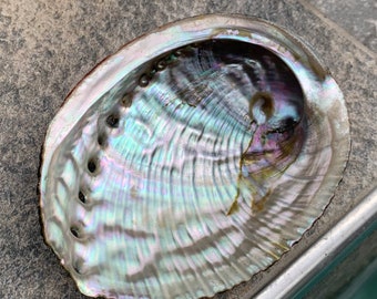 Abalone shell from Mexico, mother-of-pearl, fumigation, decoration, abalone, purification, wicca