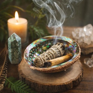 Naturligt abalonskal från Mexiko – medelstort ~6 cm, salvia, palo santo och rökelsehållare | Renings- och dekorationsritual