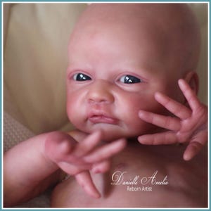 May include: A realistic reborn baby doll with a detailed complexion and facial features. The doll has dark eyes and is positioned with its hands raised. The artist's signature, "Danielle Amelia Reborn Artist," is visible in the bottom right corner.