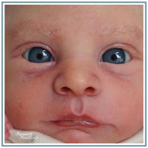 May include: A close-up view of a realistic reborn baby doll face with pale skin, light blonde eyebrows, and bright blue eyes. The doll features detailed facial textures and a small philtrum indentation. The text Mommies Munchkins is visible.