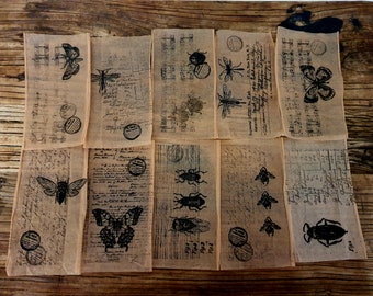Tea Bag Art Beatles and Insect Ephemera for Junk Journal scrapbook