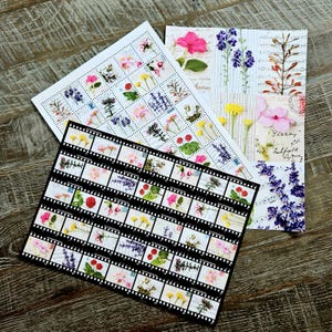 Colourful flowers. Decorative Craft Paper Piece for Scrapbooking, Paper Craft, Card Making