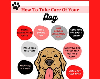 How To Take Care Of Your Dog Wall Art | Poster For Dog Owners, Vets And Pet Stores