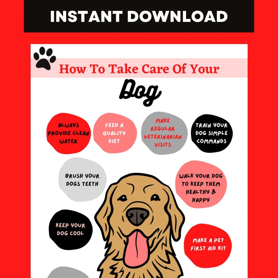 How to Take Care of Your Dog Wall Art Poster for Dog Owners - Etsy How to Take Care of Your Dog Wall Art Poster for Dog Owners - Etsy