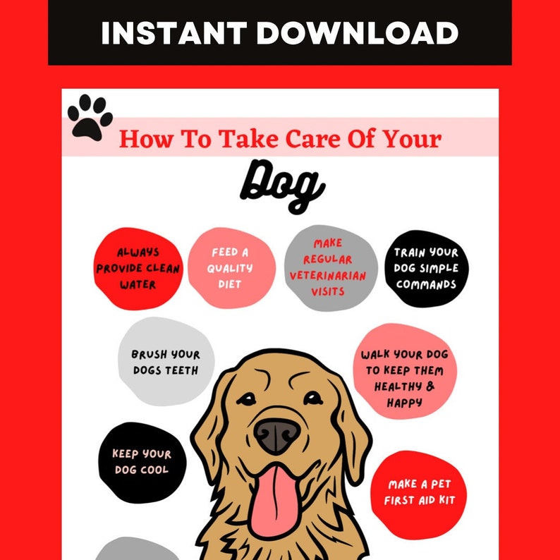 Cómo cuidar de su perro Arte de pared / Póster para dueños de perros, veterinarios y tiendas de mascotas imagen 1