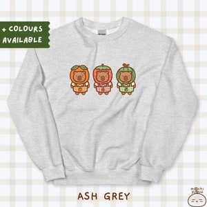 K&ouml;nnte beinhalten: Aschgrauer Pullover mit einem Motiv von drei Cartoon-B&auml;ren, die Fruchtkost&uuml;me tragen. Die B&auml;ren tragen orange, rote und gr&uuml;ne Fruchtkost&uuml;me. Der Text "+ COLOURS AVAILABLE" befindet sich in der oberen linken Ecke des Bildes.