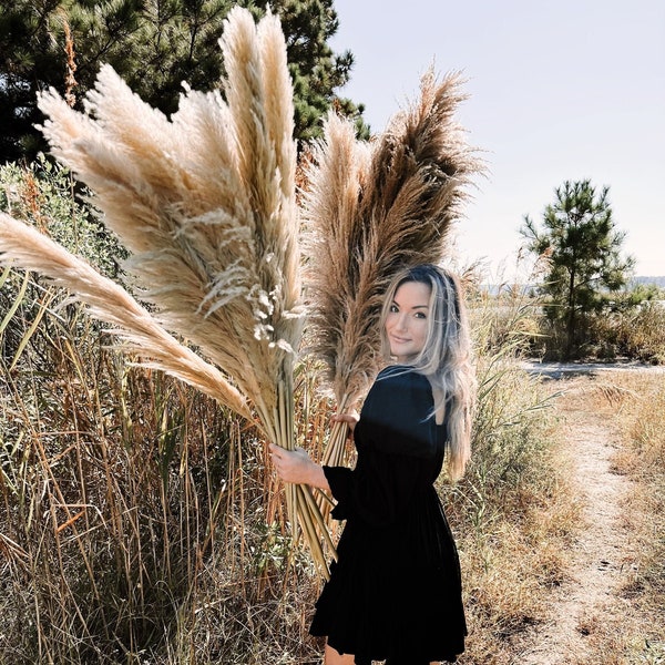 Tall Extra Large Natural & Fluffy Dried Premium Pampas Grass | Boho Wedding Home Decor | Wedding Arch | Dried Florals | Eco-friendly