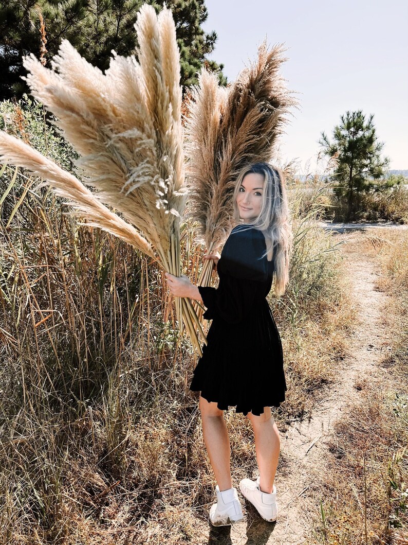 Tall Extra Large Natural & Fluffy Dried Premium Pampas Grass | Boho Wedding Home Decor | Wedding Arch | Dried Florals | Eco-friendly