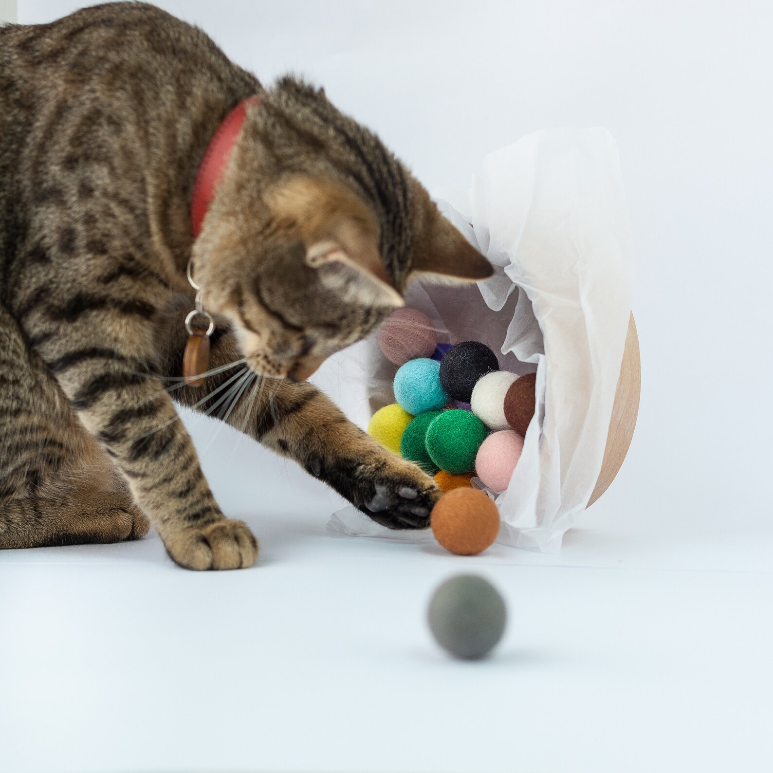 Cat toys basket Ball for pet made of Natural Wool Ecological Etsy