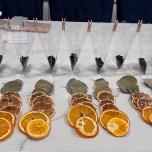 Cold & Flu Minty Citrus Simmer Pot Kit • Natural Home Aroma • Handcrafted Stovetop Potpourri image 2