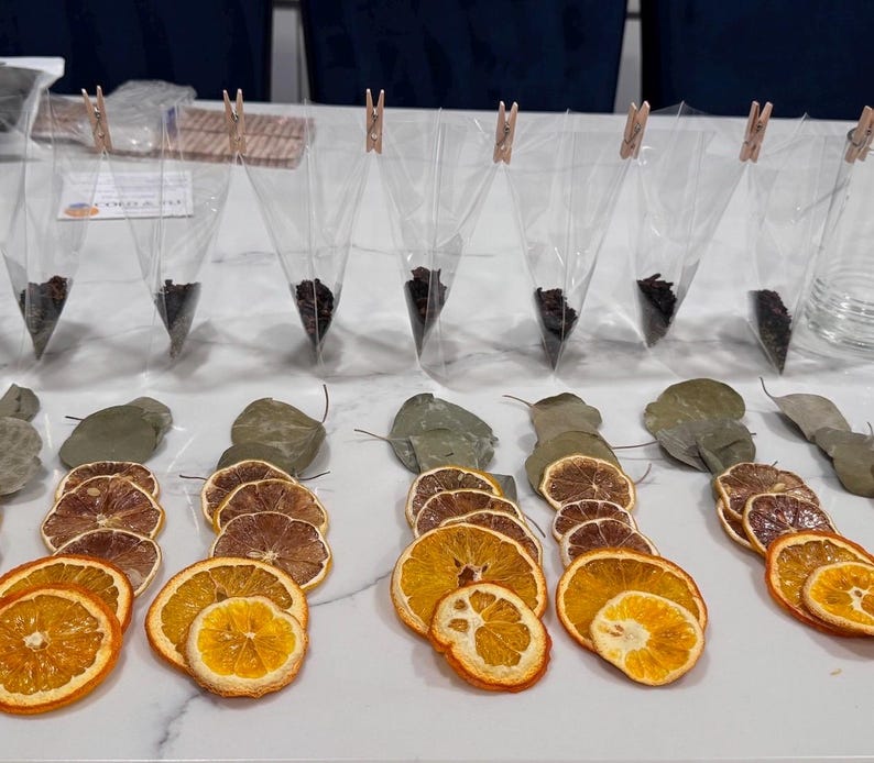 Cold & Flu Minty Citrus Simmer Pot Kit • Natural Home Aroma • Handcrafted Stovetop Potpourri image 2