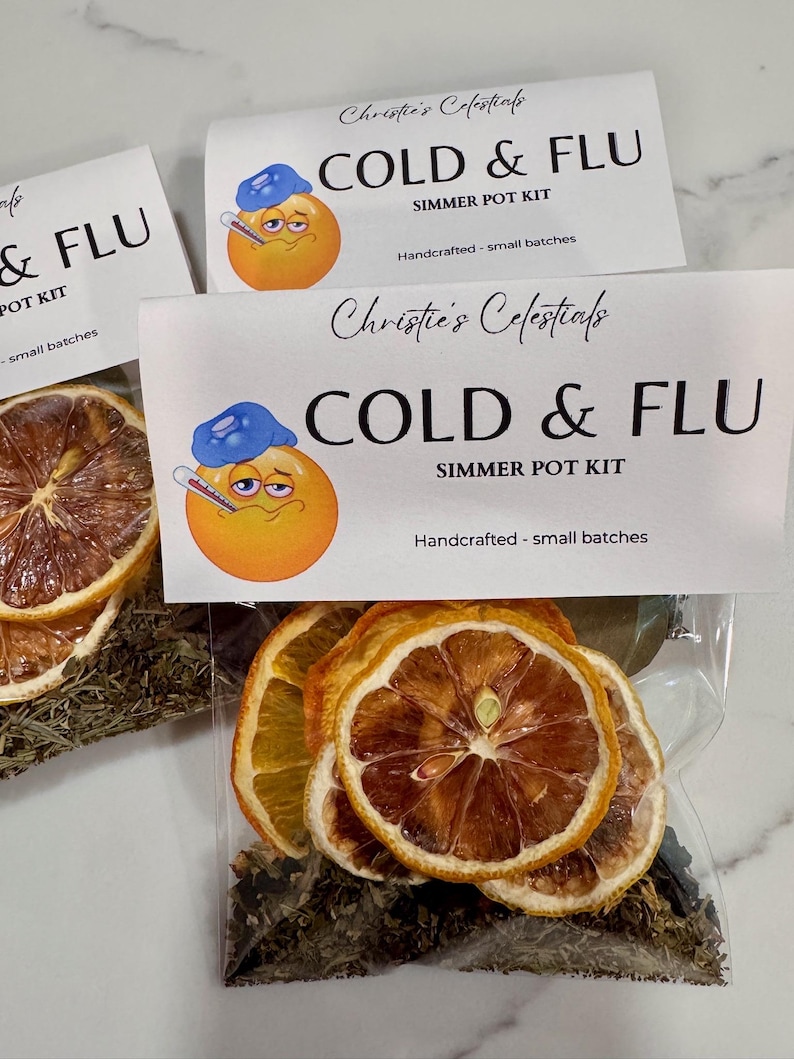 Cold & Flu Minty Citrus Simmer Pot Kit • Natural Home Aroma • Handcrafted Stovetop Potpourri image 1