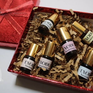 Exodus Gift Set of 6 mini 2 ml roller bottles / Anointing Oil Gift Set/ Christian Gift/ Exodus anointing Oil / aceite de ungir Exodo