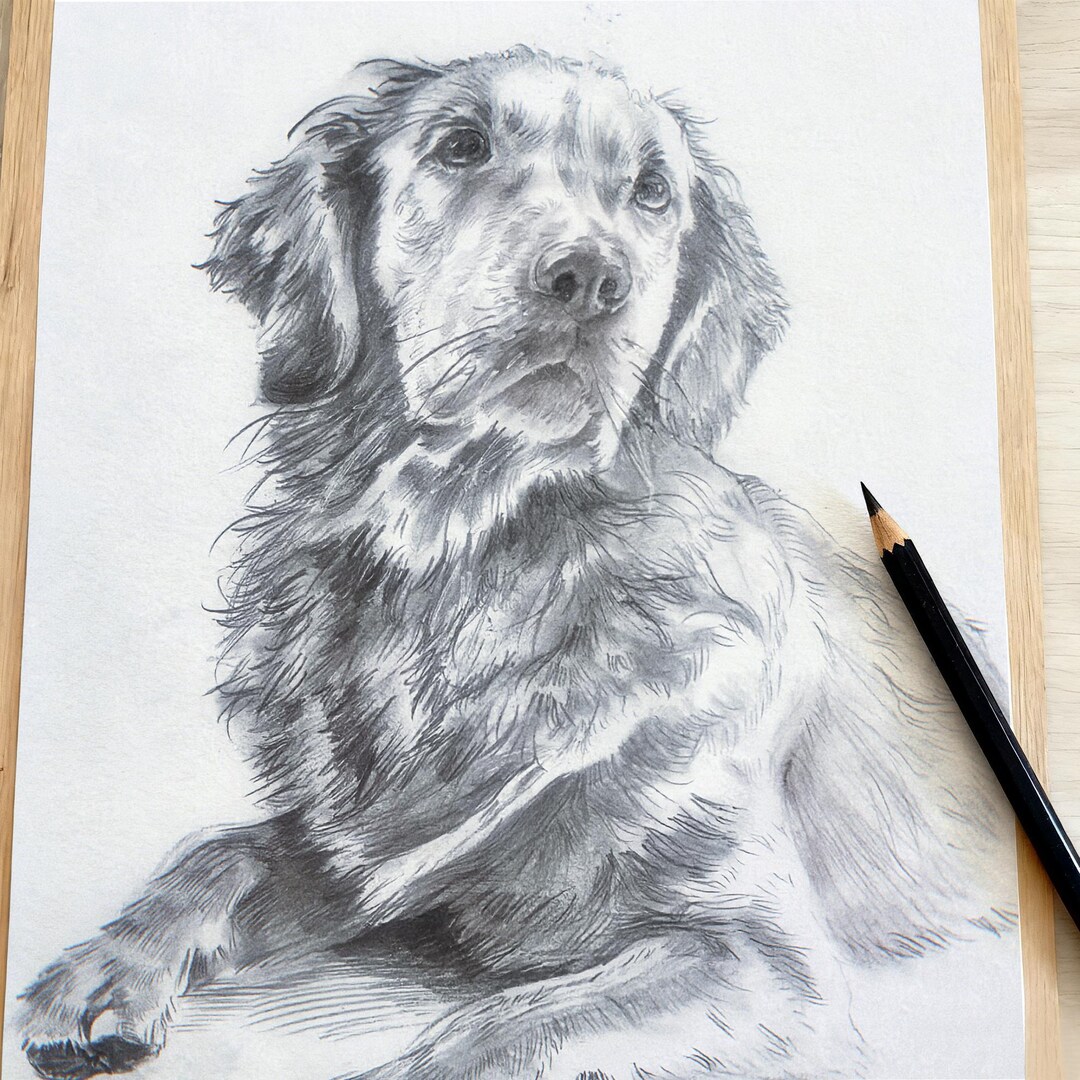 Custom Pet Portrait Sketch From Photo, Hand Drawn Dog Cat Horse Gift ...