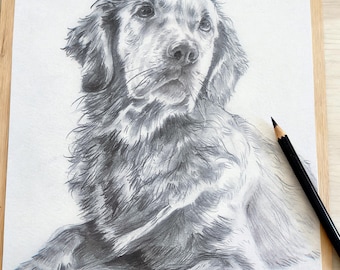Custom Pet Portrait Sketch from Photo, Hand Drawn Dog Cat Horse Gift Pencil Drawing, Charcoal Pet Portrait, Pet Loss Gift, Pet Illustration