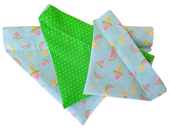 Watermelon & Lemon Dog or Cat Bandana - Reversible Bandana for Dogs or Cats - Pet Neckwear - Over the Collar Bandana - Pet Bandana