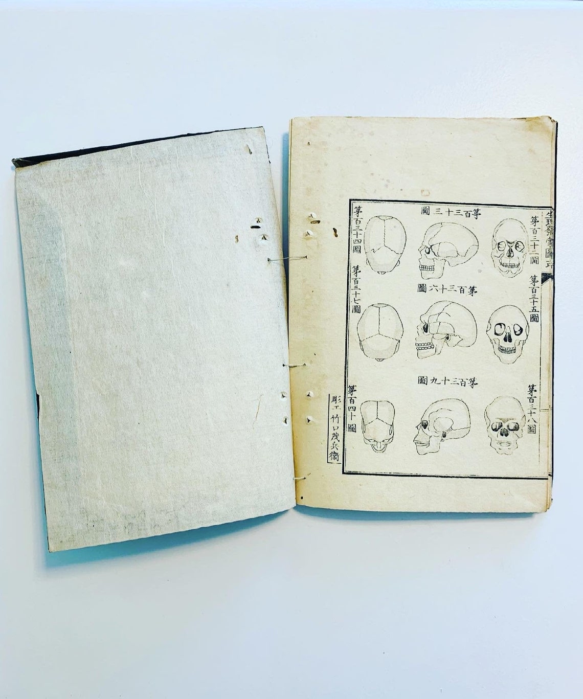 Anatomy graphic book. Japanese. Decorative. Home. Education. Etsy