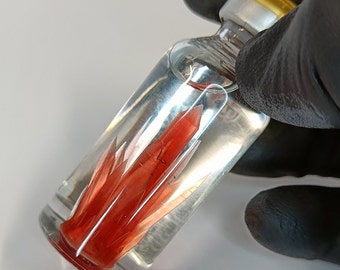 SCP-009, Hielo rojo, Euclid, Cosplay, Creepypasta, Decoración, Contención segura, Protección