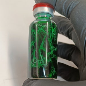 Peut inclure: Un flacon en verre avec un bouchon en argent et un bouchon en caoutchouc rouge contient un liquide vert avec une substance verte et filandreuse en suspension.