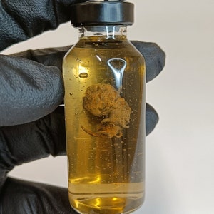 Resident Evil / Las Conexiones / Cadou Parasite / Vial Prop