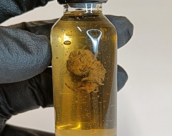 Resident Evil / Las Conexiones / Cadou Parasite / Fiala Prop