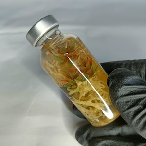 Resident Evil - Progenitor virus vial prop - Réplica coleccionable hecha a mano - Mercancía de riesgo biológico