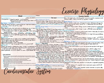 Exercise Physiology Cardiovascular System Notes - Etsy