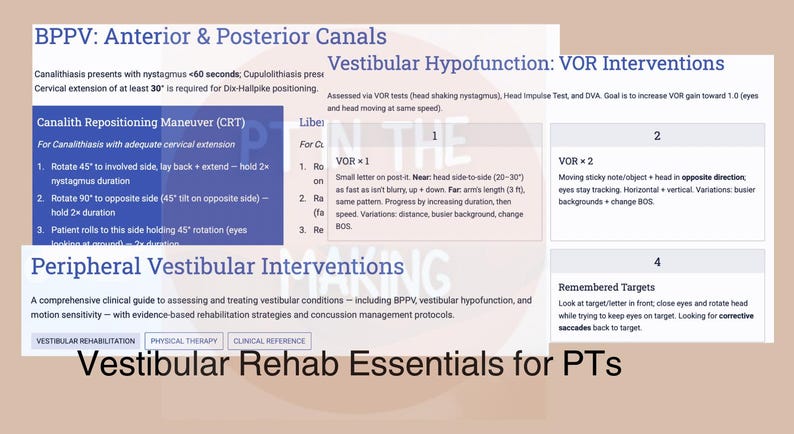 Vestibular Study Guide Vestibular Rehab Essentials for Pts - Etsy