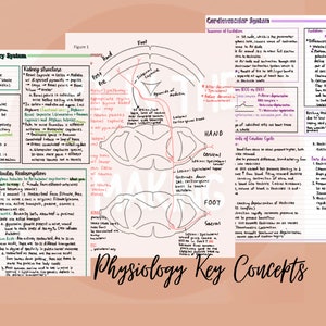 May include: A colorful diagram illustrating key concepts in human physiology, including the urinary system, cardiovascular system, and the nervous system. The diagram includes text labels and arrows to explain the functions of different organs and systems.