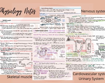 Puede incluir: Notas escritas a mano sobre un fondo rosa con el título "Physiology Notes". Las notas se dividen en tres secciones: Músculo esquelético, Sistema cardiovascular y Sistema nervioso. Cada sección incluye diagrammes y texto que explican los diferentes sistemas del cuerpo humano.