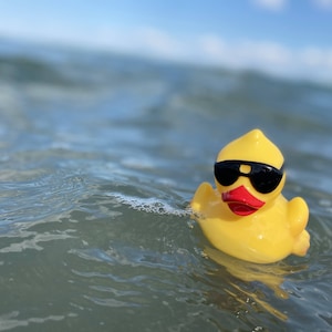 Rubber Duck on the Lake image 1