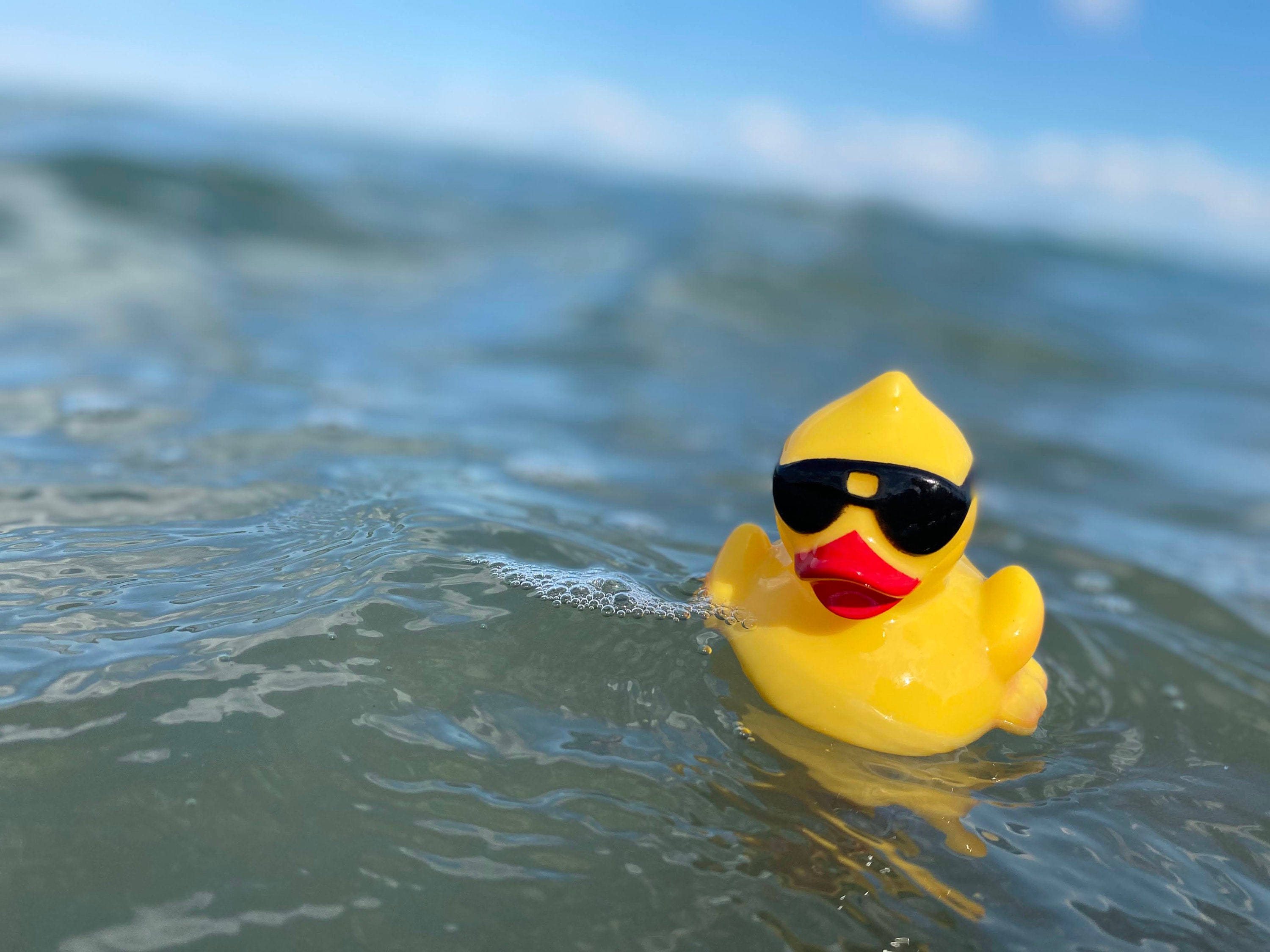 Rubber Duck on the Lake 