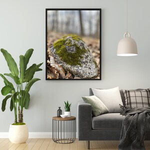 Rock with Moss