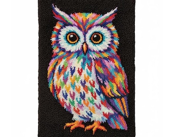 Rainbow Owl Latch Hook Kit DIY Rug Making Kit Pre-Printed Canvas 69x102cm