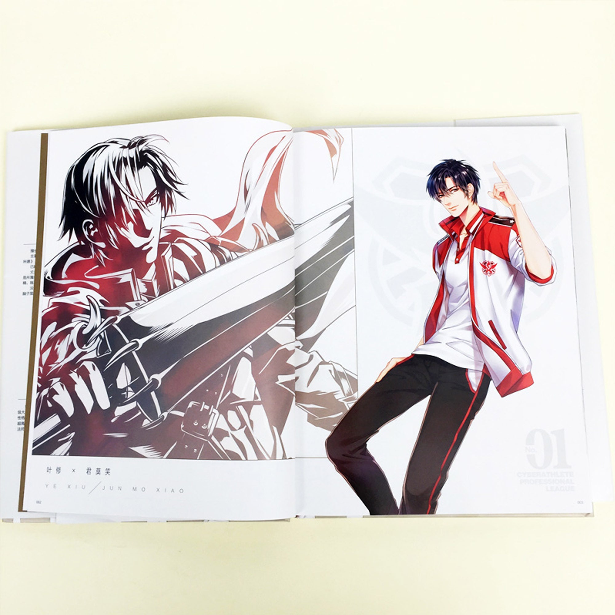 Official the King's Avatar Artbook Quan Zhi Gao Shou -  Hong Kong