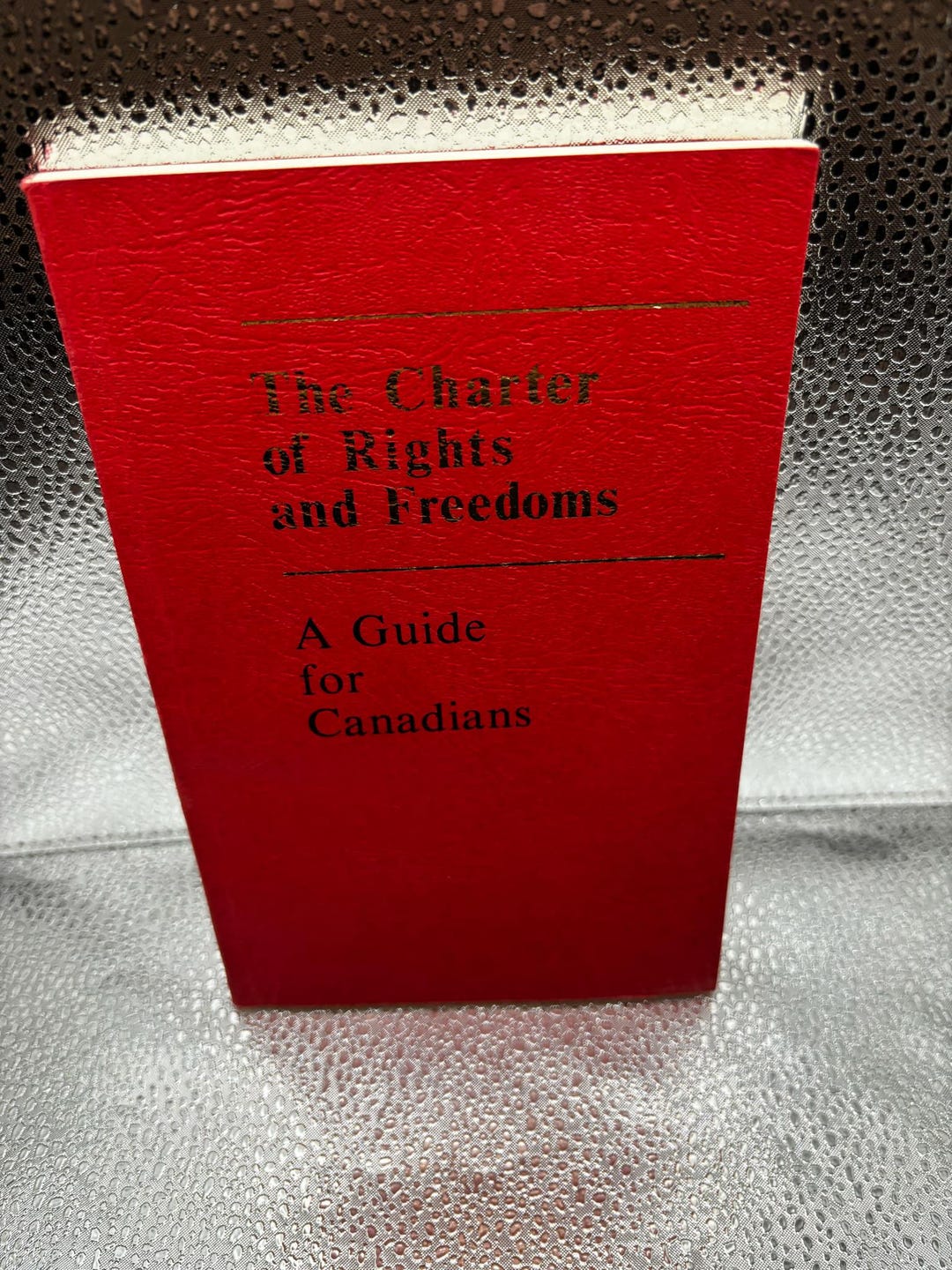 Charter of Rights and Freedoms: A Guide for Canadians, First Edition