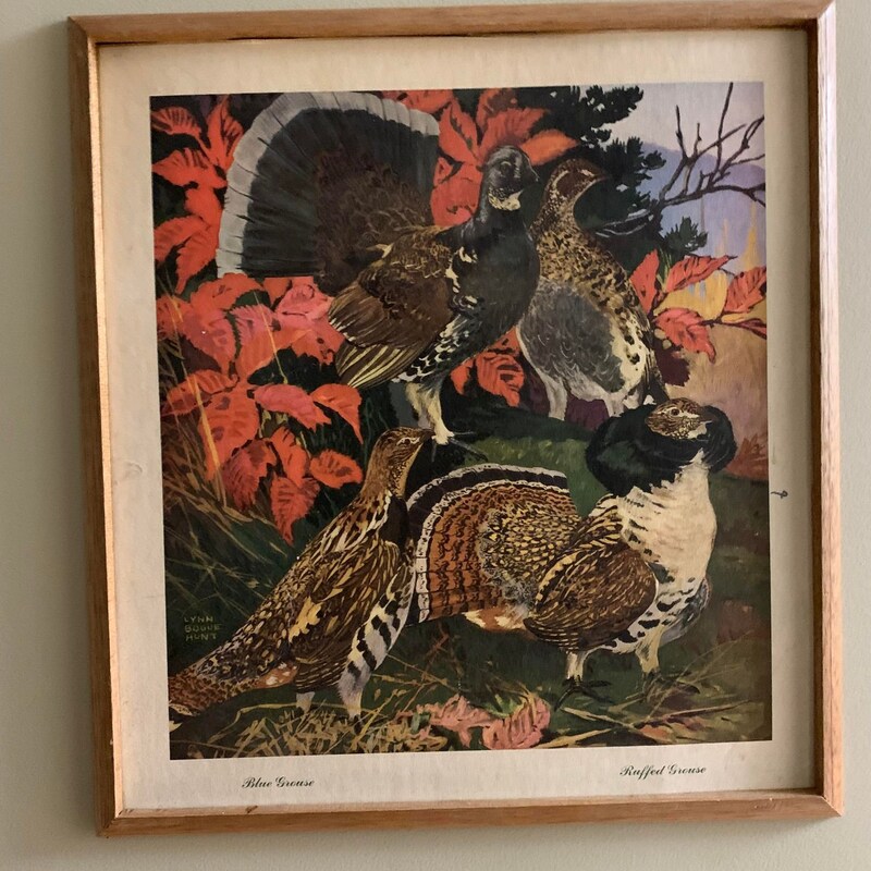 Lynn Bogue Hunt Nature Print Common Snipe - Etsy Canada
